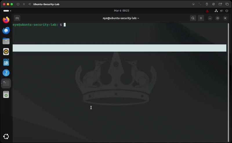 File Systems, Storage & Backup Security